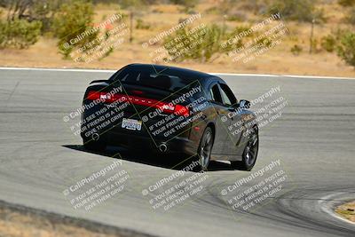 media/Jun-01-2025-VIP Trackdays (Sun) [[b20349723e]]/C Group/Session 2 (Turns 7 and 8)/